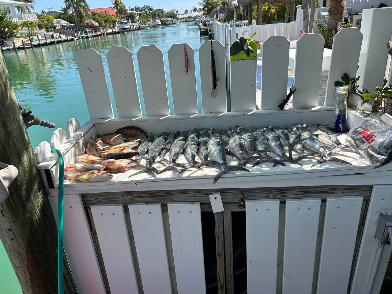 Long canal-side cleaning table covered with fish